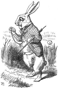 from ALICE'S ADVENTURES IN WONDERLAND, by Lewis Carroll, with illustrations by John Tenniel. Macmillan and Co, London, 1898.